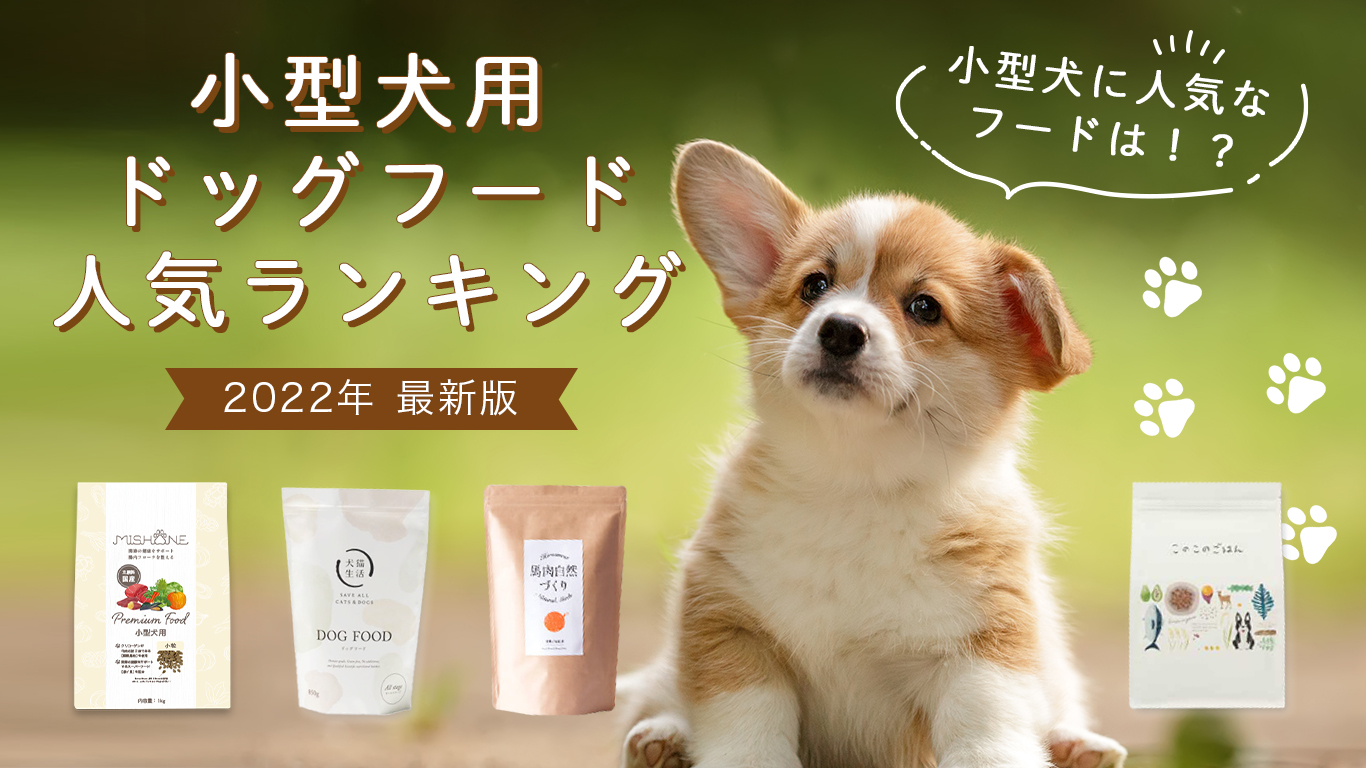 小型犬用ドッグフード人気ランキング