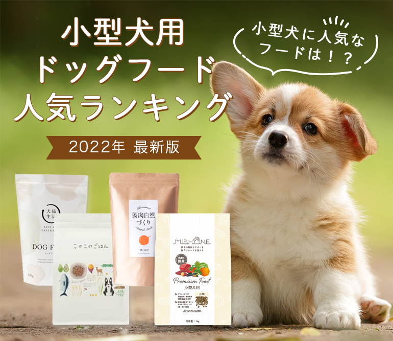 小型犬用ドッグフード人気ランキング